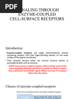 Signaling Through Enzyme-Coupled Receptor