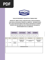 Plan de SST Rev01 - Grupo MCC