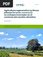 Agricultura Regenerativa en Fincas Pineras Guia para Tecnicos