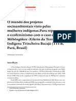 O Mundo Dos Projetos Socioambientais Visto Pelas Mulheres Indígenas - Stéphanie Selouiko