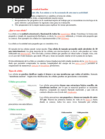 Actividad 7 2024