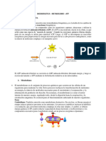 BIOENERGETICA