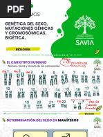 Biologia Savia Abc Ciclo Regular