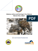 Abalone Culture and Farming in TSMP 2015