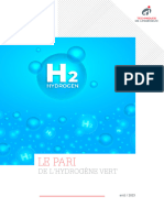 Livre Blanc Le Pari de Lhydrogene Vert