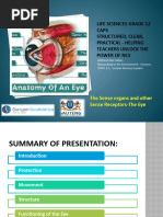 PP15. Receptors The Eye