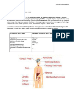 T 5.2 - Ss Endocrino