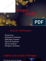 Nitrogen Cycle