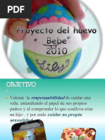 Proyecto .Huevo-2