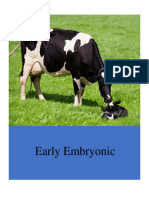 Early Embryonic Mortality Bovine-1