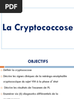 La Cryptococcose