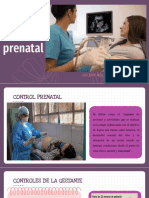 Control Prenatal 1