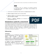 Metabolismo Apuntes - Cristian Edwin Matheus Alvarado