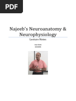 Najeeb Neuroanatomy and Neurophysiology Notes