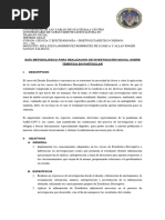 Lineamientos para Informe De-2024