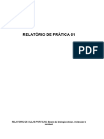 Relatório Prática - Bases Da Biologia Celular, Molecular e Tecidual 1