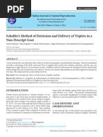 Schaffer's Method of Detorsion and Delivery of Triplets in A Non-Descript Goat