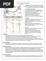 RepasoNeuro Parcial