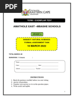 2022 - Grade 8 Term 1 Test Done