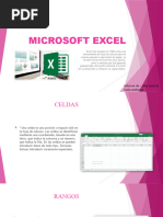 Microsoft Excel