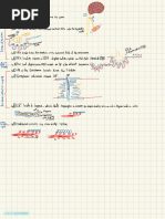 Human Biology - Event Leading To Contraction