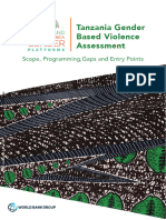 Tanzania Gender Based Violence Assessment: Scope, Programming, Gaps and Entry Points