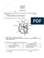 Form 2 - Biology - Marking Scheme