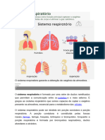 Sistema Respiratório