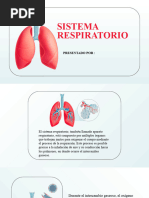 Sistema Respiratorio