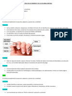 Examen Físico de Los Miebros y de La Columna Vertebal