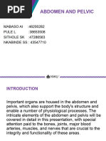 Abdomen Presentation-1