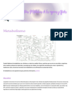 Características Metabólicas de Los Órganos y Tejidos