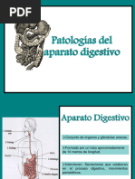 Patologías Del Aparato Digestivo