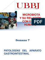 Microbiota y Su RSH Semana 7