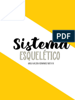 Sistema Esqueletico