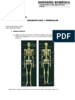 Estructuras Oseas