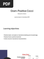 Gram Positive Bacteria