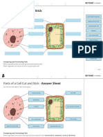 Parts of A Cell Cut and Stick Worksheet