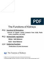 Urinary Tract