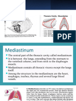 Cardiovascular System