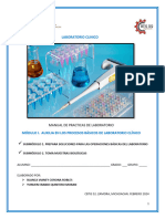 Manual de Practicas de Lab - M1 - 2024