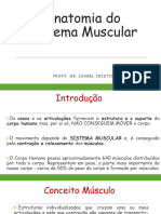 Aula 4 Sistema Muscular