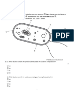 IGedex2122 2.1-2.6 Cell