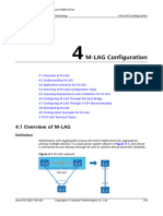 01 04 M LAG Configuration