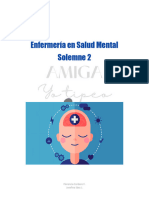 Solemne 2 Salud Mental 2