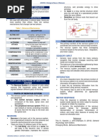 3 - B - Biological Bases of Behavior by Cantor, A. (2022)