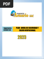 Plan Anual de Seguridad 2023