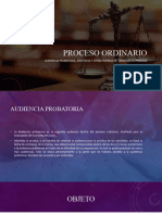 Audiencia Probatoria, Sentencia y Terminacion Del Proceso