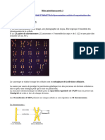 Bilan Génétique Partie 2