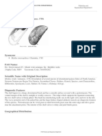 FAO - Species Fact Sheets